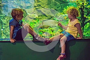 Little Boy and girl watching tropical coral fish in large sea life tank. Kids at the zoo aquarium