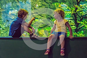 Little Boy and girl watching tropical coral fish in large sea life tank. Kids at the zoo aquarium