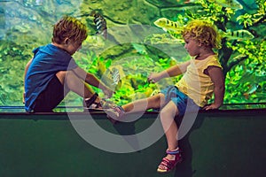 Little Boy and girl watching tropical coral fish in large sea life tank. Kids at the zoo aquarium