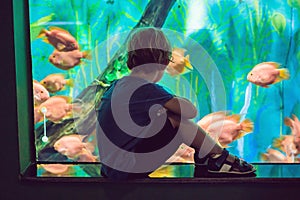 Little Boy and girl watching tropical coral fish in large sea life tank. Kids at the zoo aquarium