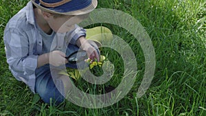 little boy in hat sits on grass holds magnifying glass explores yellow flower