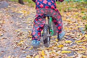Little boy having fun on bikes in autumn forest. Selective focus