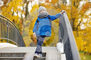 Little boy having fun during stroll in city park at sunny autumn day. Active outdoor family time with kids