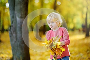 Little boy having fun during stroll in the forest at sunny autumn day. Child playing maple leaves. Active family time on nature.