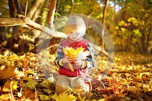 Little boy having fun during stroll in the forest at sunny autumn day. Child playing maple leaves. Active family time on nature.