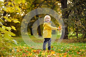 Little boy having fun during stroll in the forest at sunny autumn day. Child playing maple leaves. Active family time on nature.