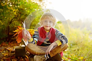 Little boy having fun during stroll in the forest at sunny autumn day. Child playing maple leaves. Active family time on nature.