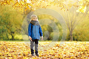 Little boy having fun during stroll in the forest at sunny autumn day. Child playing maple leaves. Active family time on nature.