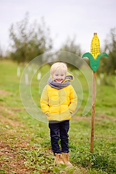 Little boy having fun on a tour of a pumpkin and corn farm. Kid standing near sign of corn maze traditional american amusement on