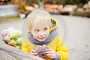 Little boy having lunch after shopping on traditional farmer agricultural market at autumn. Child eating donuts. Near kid on bench