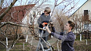 A little boy helps his dad prune trees in the garden with a saw on a spring day. The concept of spring tree pruning and garden