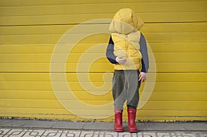 Little boy hides his face with his coat hood