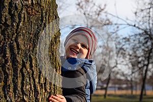 Little boy is hiding behind a big tree. A child peeks out from behind a tree trunk