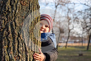 Little boy is hiding behind a big tree. A child peeks out from behind a tree trunk