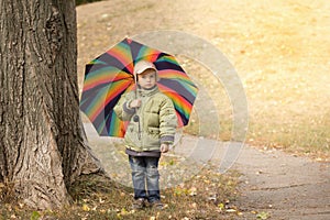 Little boy hiding behind colorful umbrella outdoors