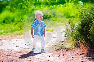 Little boy hiking in a forest