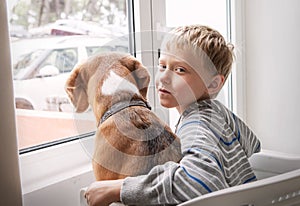 Little boy with his dog waiting together near the window