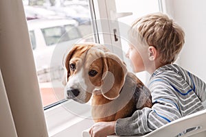 Little boy with his doggy friend waiting together near the window