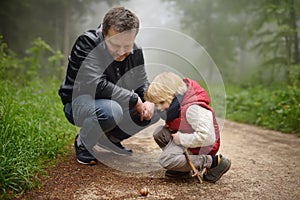 Little boy and his father looking on big snail during hike in forest.