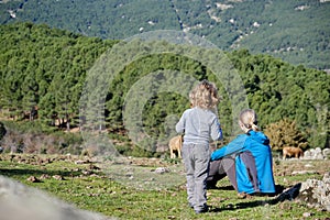 Little boy with his mother spending a day in nature relaxing and watching the cows graze