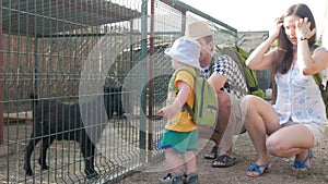 A little boy with his parents is feeding a goat with green grass in the zoo. The kid really likes this animal