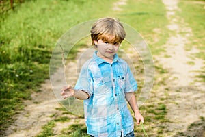 Little boy hold spikelet grass in hand. new life. human and nature. small kid walking outdoor. earth day. Eco future