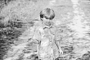 Little boy hold spikelet grass in hand. new life. human and nature. small kid walking outdoor. earth day. Eco future