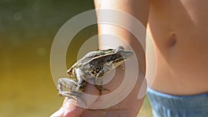 Little Boy Holding a Frog in his Hands on the Beach near the River.