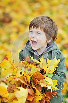 Little boy holding leaves in the park