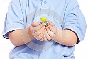 Little boy holding plant in hands