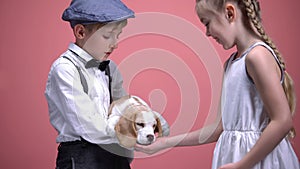 Little boy holding puppy, girl feeding dog from open palm, animals love and care