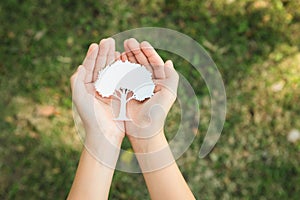 Little boy holding recycled paper tree to promote eco lifestyle. Gyre