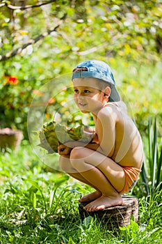 Little boy holding ripe sunflower head. Cute little boy in a baseball cap sits on a stump