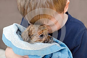 Little boy is hugging with love a wet dog pomeranian puppy