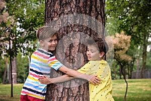 Little boy hugs a tree trunk - children love the nature, sustainability concept. Save the nature