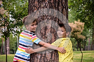 Little boy hugs a tree trunk - children love the nature, sustainability concept. Save the nature