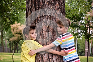 Little boy hugs a tree trunk - children love the nature, sustainability concept. Save the nature