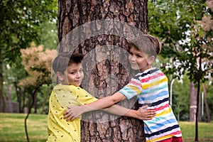 Little boy hugs a tree trunk - children love the nature, sustainability concept. Save the nature