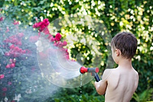 Little boy irrigate in garden