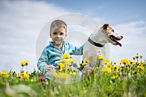Little boy with Jack Russel Terrier puppy