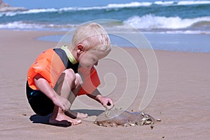 Little boy and jelly-fish
