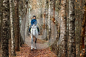 Little boy in a jockey cap on a white adult horse on a background of nature. Jockey, hippodrome, horseback riding