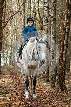 Little boy in a jockey cap on a white adult horse on a background of nature. Jockey, hippodrome, horseback riding