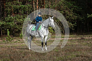 Little boy in a jockey cap on a white adult horse on a background of nature. Jockey, hippodrome, horseback riding