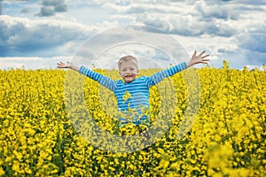 Little boy jumping for joy on a meadow in a sunny day