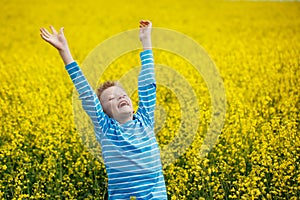 Little boy jumping for joy on a meadow in a sunny day