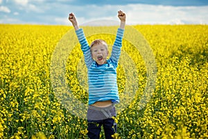 Little boy jumping for joy on a meadow in a sunny day