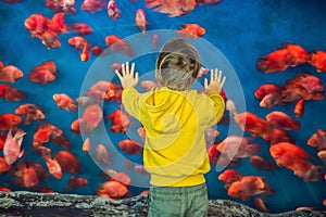 Little boy, kid watching the shoal of fish swimming in oceanarium, children enjoying underwater life in Aquarium