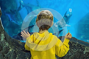 Little boy, kid watching the shoal of fish swimming in oceanarium, children enjoying underwater life in Aquarium