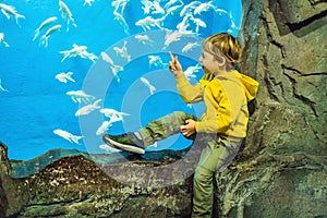 Little boy, kid watching the shoal of fish swimming in oceanarium, children enjoying underwater life in Aquarium